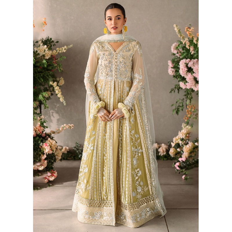 Mastani Evening Luxury Chiffon '24 by Mushq | Hira