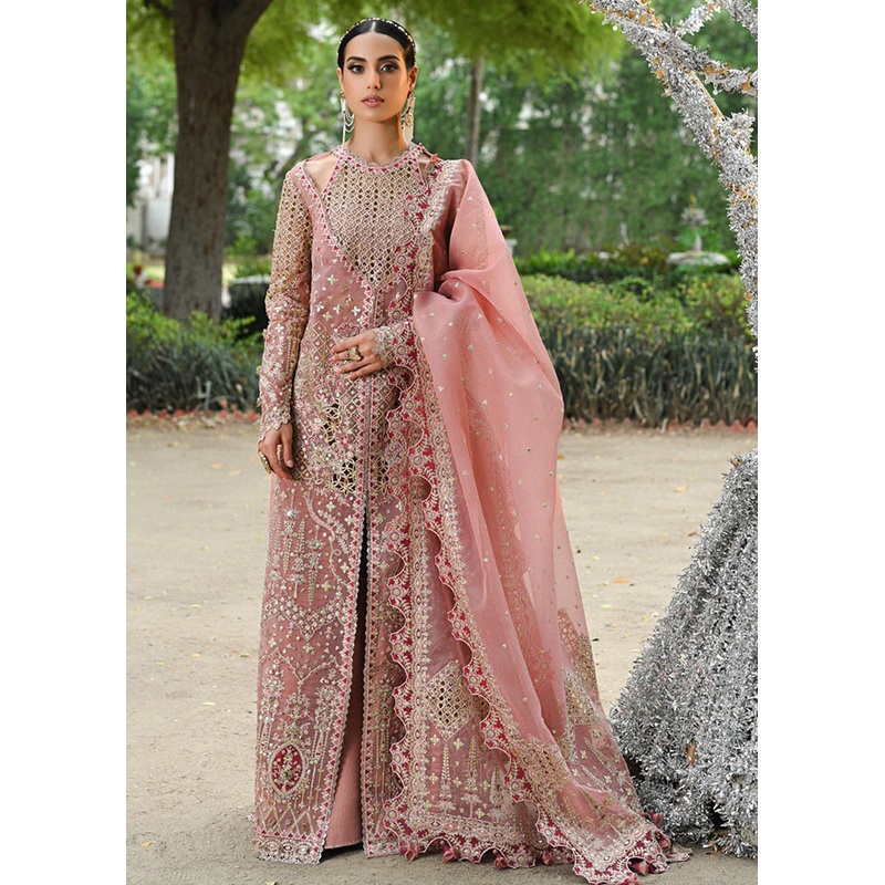 Singhar Wedding Formals '24 by Qalamkar | RF-02 SALEHA