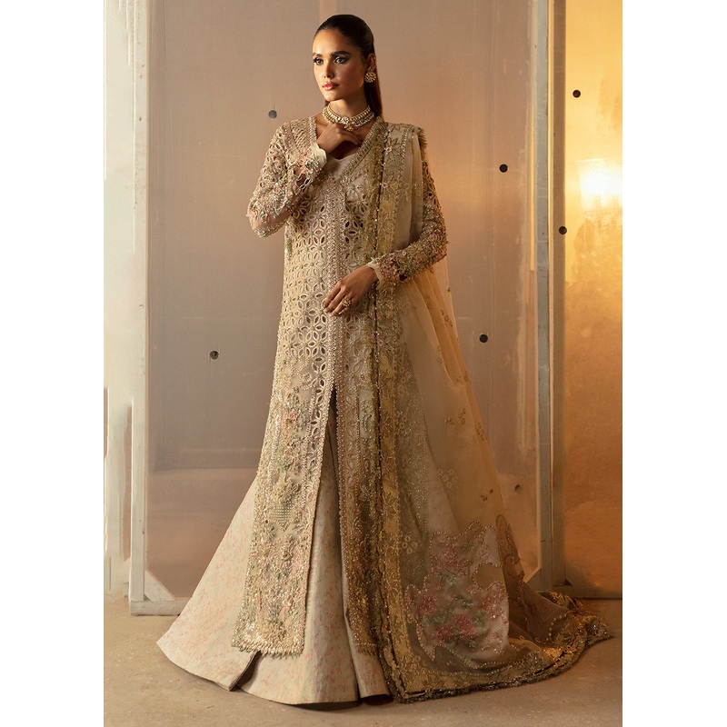 Hayat Wedding Formals '24 by Afrozeh | Aniqa