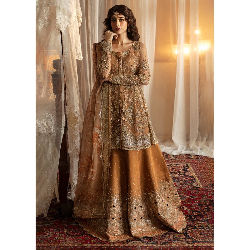 Hayat Wedding Formals '24 by Afrozeh | Nooray