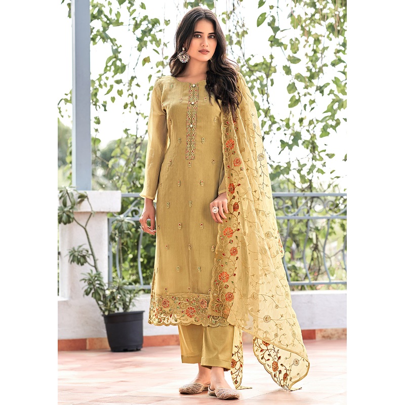 Fawn Brown Embroidered Organza Chiffon Festive Salwar Suit