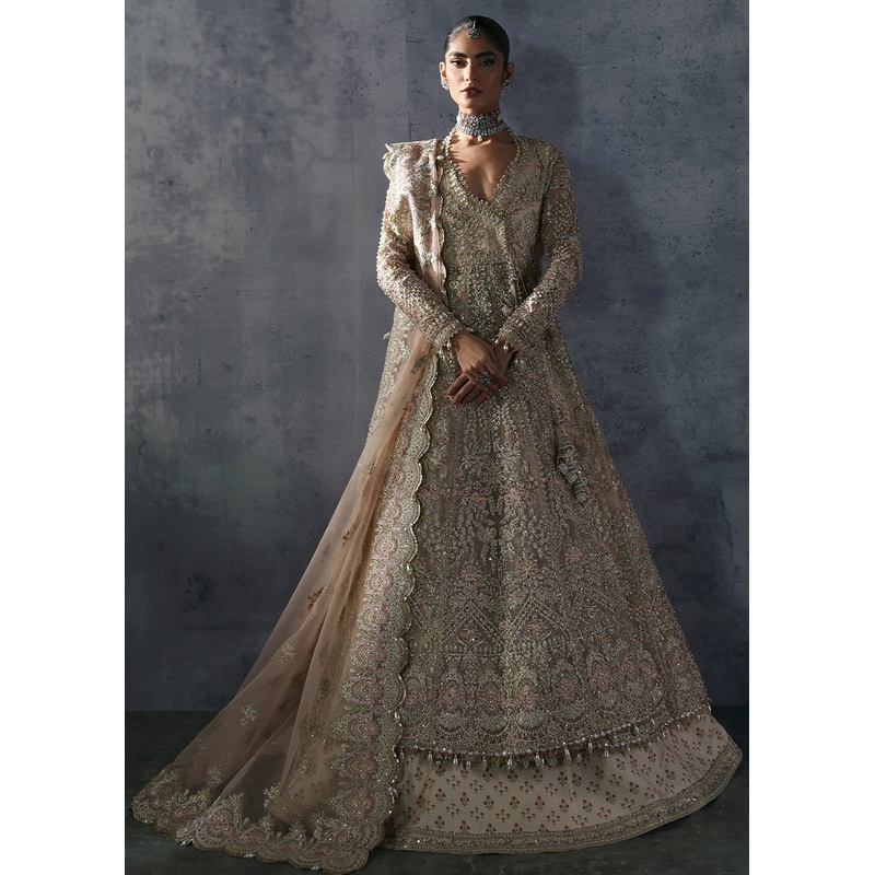 The Brides Edit '24 by Afrozeh | Emilia