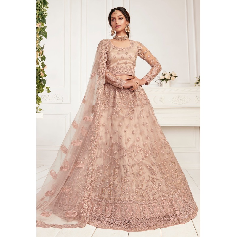 Beige Brown Net Embroidered Wedding Lehenga Choli