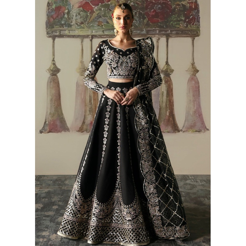 Divani The Silk Wedding Edit '25 by Afrozeh | Husnara
