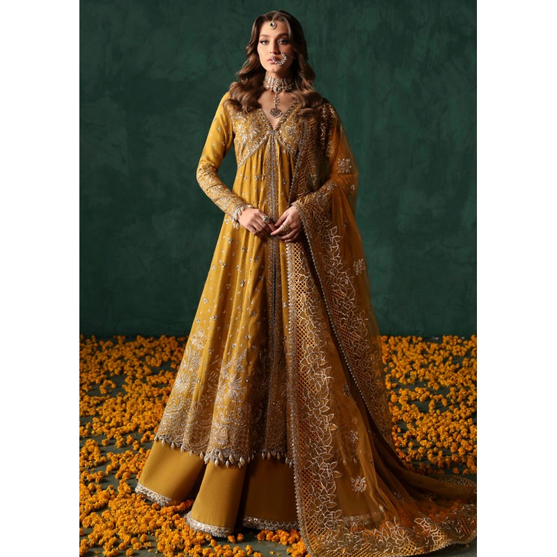 Divani The Silk Wedding Edit '25 by Afrozeh | Jahanbano