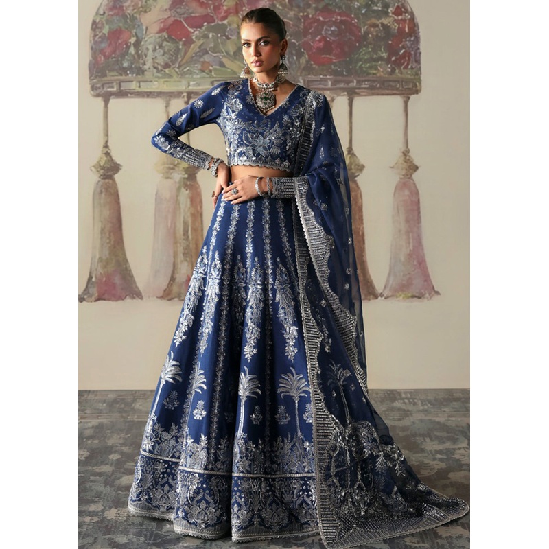 Divani The Silk Wedding Edit '25 by Afrozeh | Nazli
