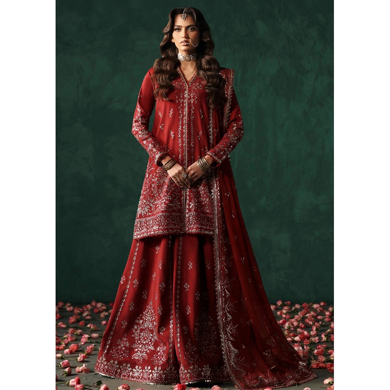 Divani The Silk Wedding Edit '25 by Afrozeh | Tajdaar