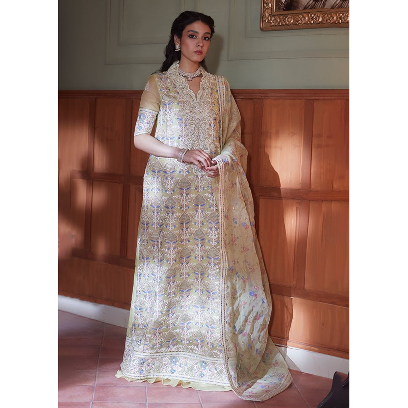 Lime Yellow Organza Net Pakistani Suit | Mushq | Qala Kamdaani | Dina