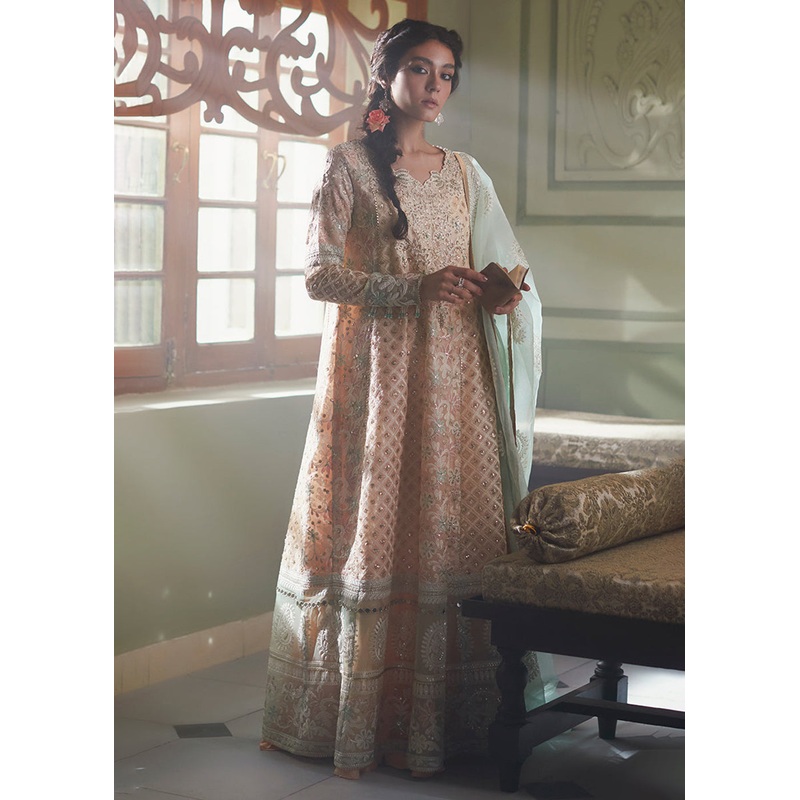 Peach Organza Net Pakistani Suit | Mushq | Qala Kamdaani | Amira