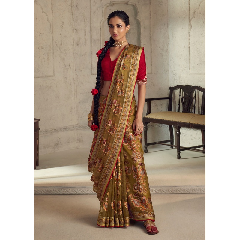 Brown Soft Organza Brasso Embroidered Wedding Festive Saree
