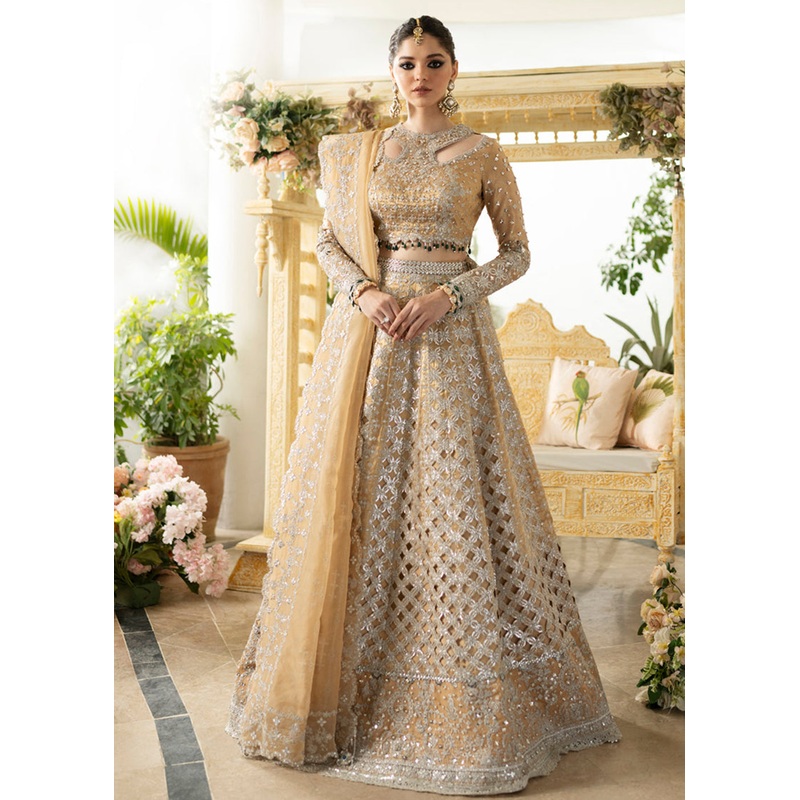 Dilnaaz Wedding Formals 2023 by Qalamkar | DN-01 - IMAAN