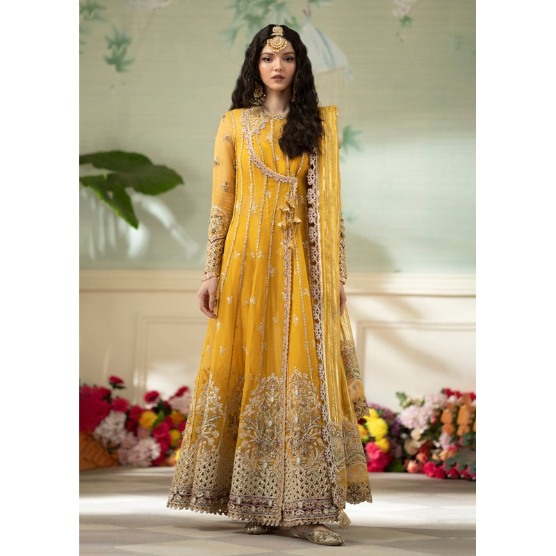Dilnaaz Wedding Formals 2023 by Qalamkar | DN-04 - KANZA