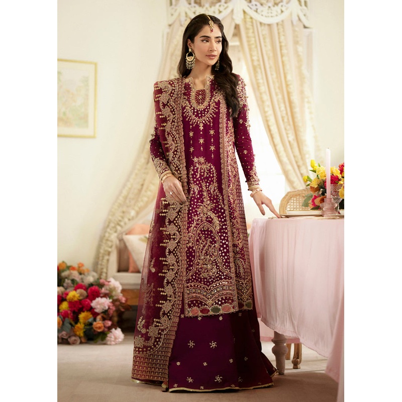 Dilnaaz Wedding Formals 2023 by Qalamkar | DN-07 - ALEENA