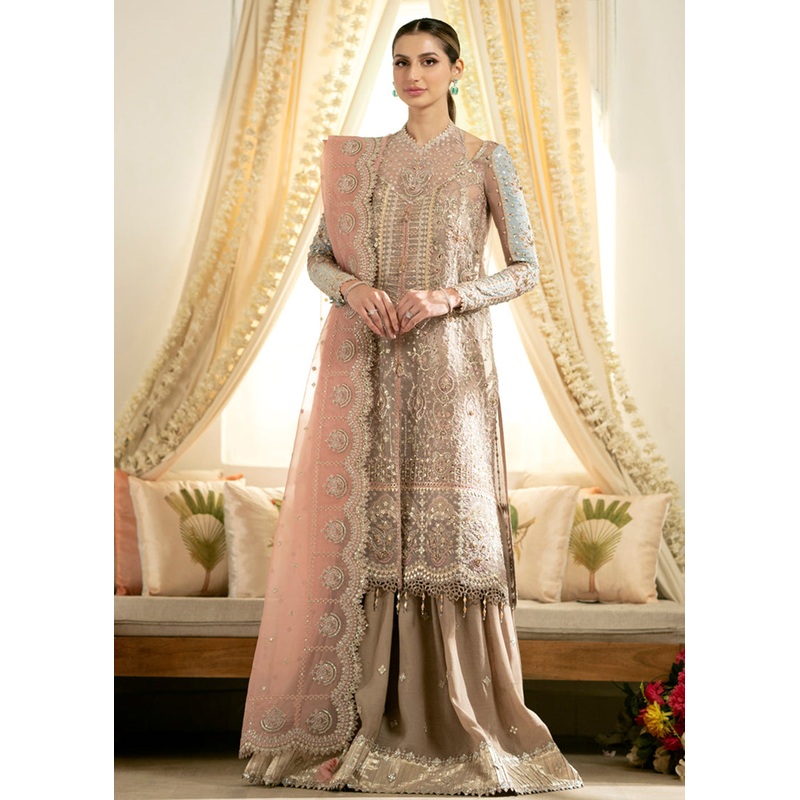 Dilnaaz Wedding Formals 2023 by Qalamkar | DN-08 - INAYAA