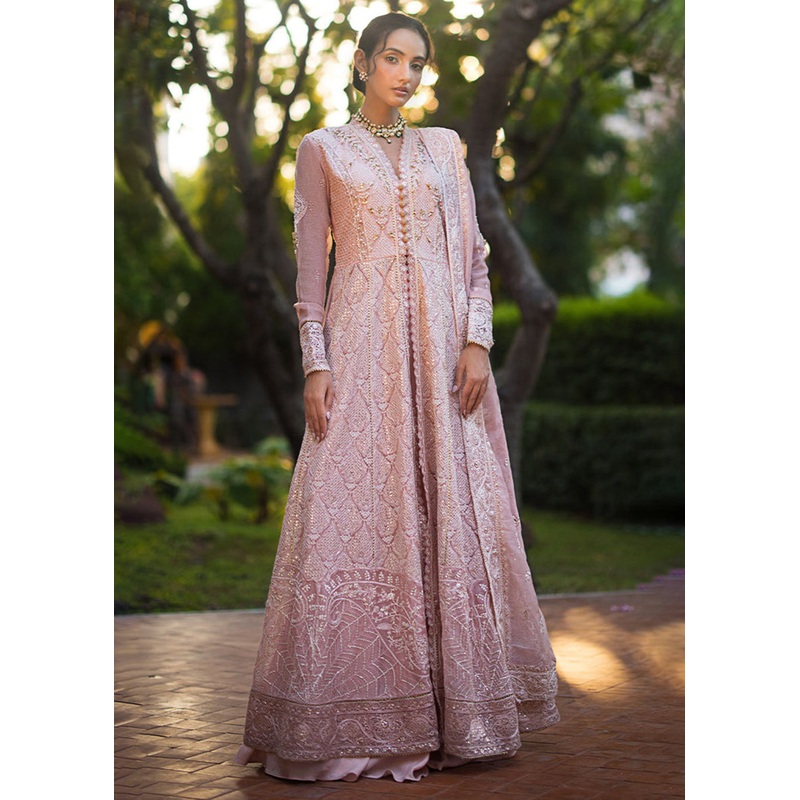 Roohi Luxury Formal Collection '24 by Mushq | AANYA