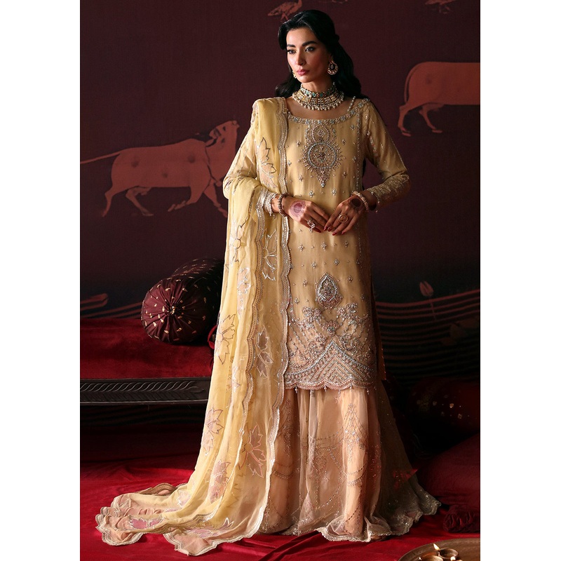 Devdas Exquisite Formal Wear '24 By Emaan Adeel | Meera