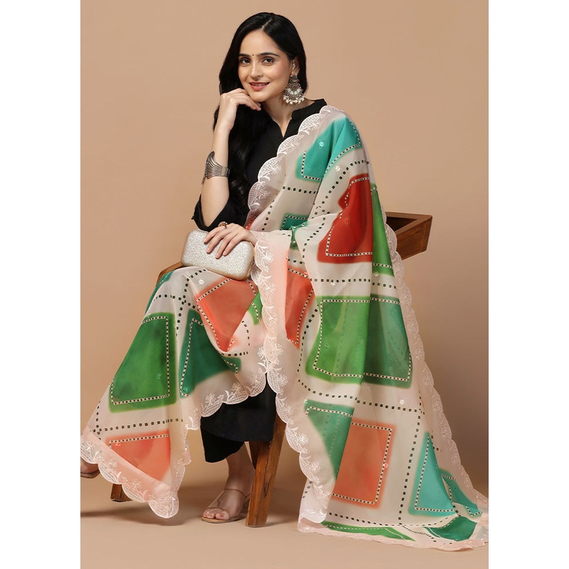 Beige Organza Embroidered Work Dupatta - JD986613272
