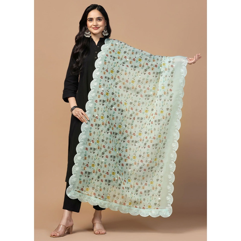 Cream Organza Embroidered Work Dupatta - JD986613265