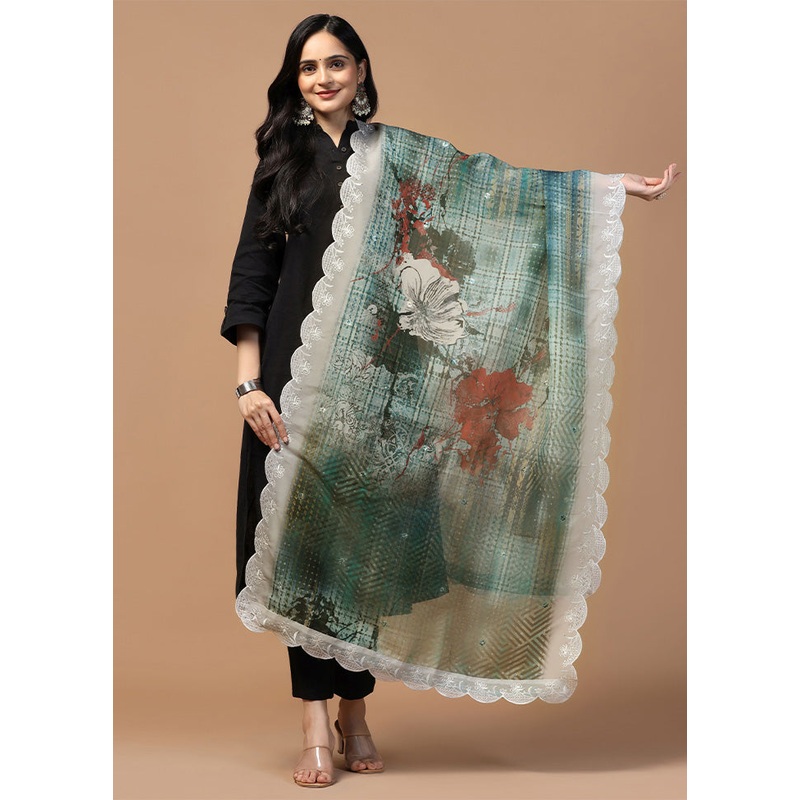 Multicolor Organza Embroidered Work Dupatta - JD986613264