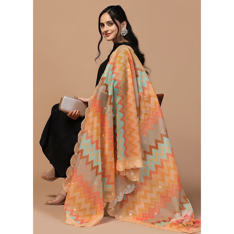 Multicolor Organza Embroidered Work Dupatta - JD986613271