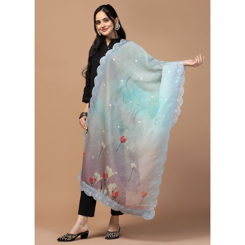 Multicolor Organza Embroidered Work Dupatta - JD986613273