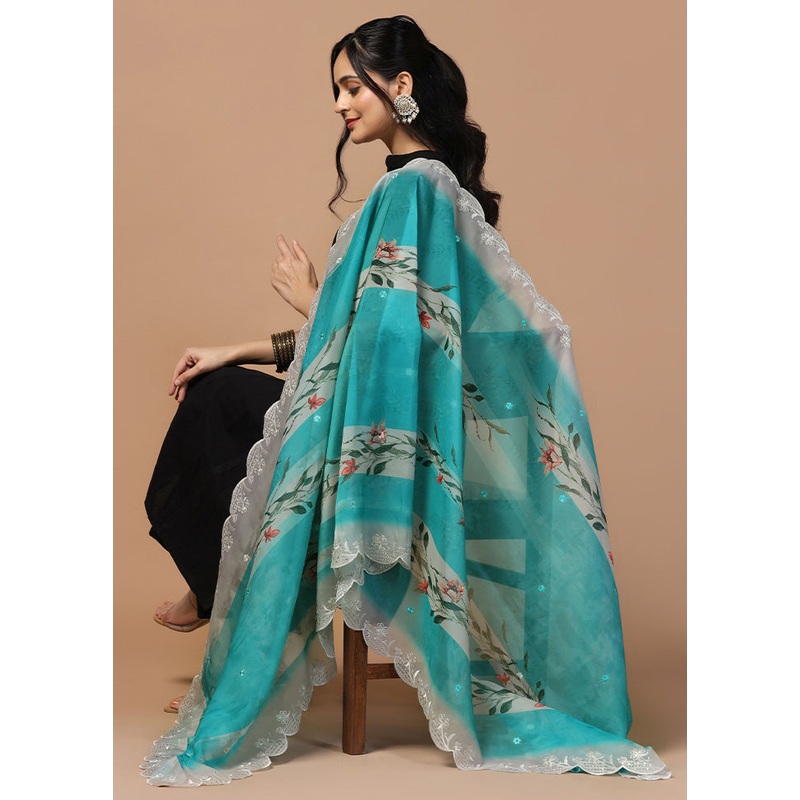 Sky Blue Organza Embroidered Work Dupatta - JD986613275